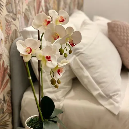 The Venue Sistina Πανσιόν