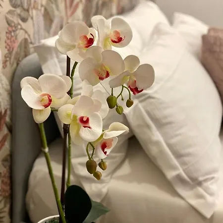 Πανσιόν The Venue Sistina